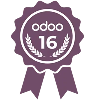 Odoo 16 Zertifikat odoo 16